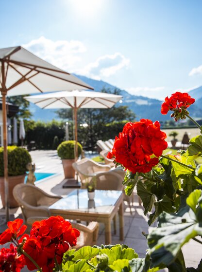 Sonnenterrasse Blumen Hotel Theresa im Zillertal Sonnenterrasse Blumen Hotel Theresa im Zillertal