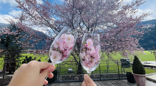 Frühling im Wellnesshotel Theresa im Zillertal