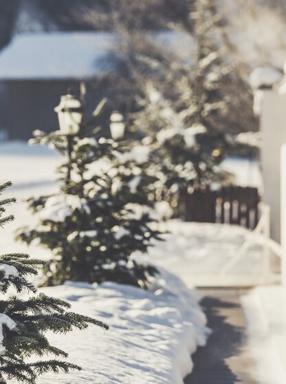 Winter verschneite Tannenbäume Hotel Theresa Zillertal