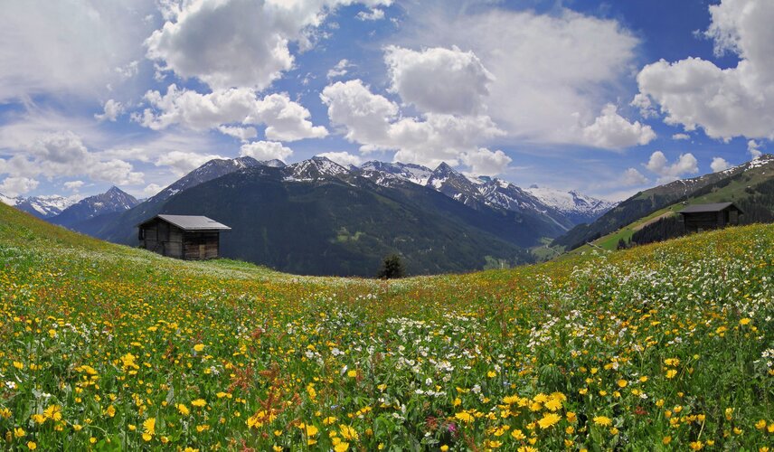 Eine Landschaft im Frühling im Zillertal beim Hotel Theresa im Zillertal