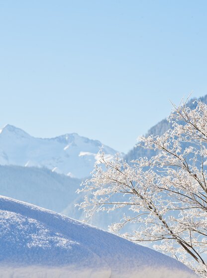 Verschneite Zillertaler Bergwelt Ausblick vom Hotel Theresa Eine Winterlandschaft wie aus dem Bilderbuch beim Hotel Theresa im Zillertal