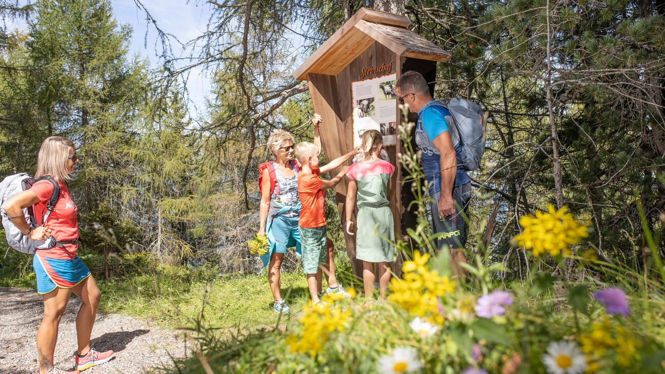 Ausflugsziel Almpromenade Gerlosstein Hotel Theresa im Zillertal