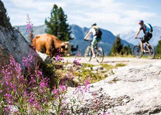 E-Biken Zillertalarena Panoramatour Hotel Theresa im Zillertal