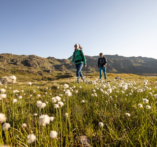 A couple hikes near the Krimml Waterfalls in the Zillertal Arena