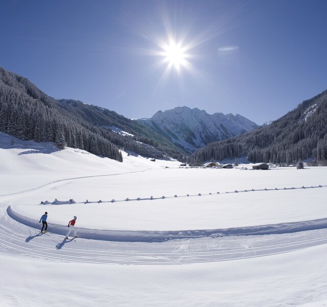 Skilanglauf (Scating) in Gerlos, Zillertaler Alpen, Tirol, …sterreich.